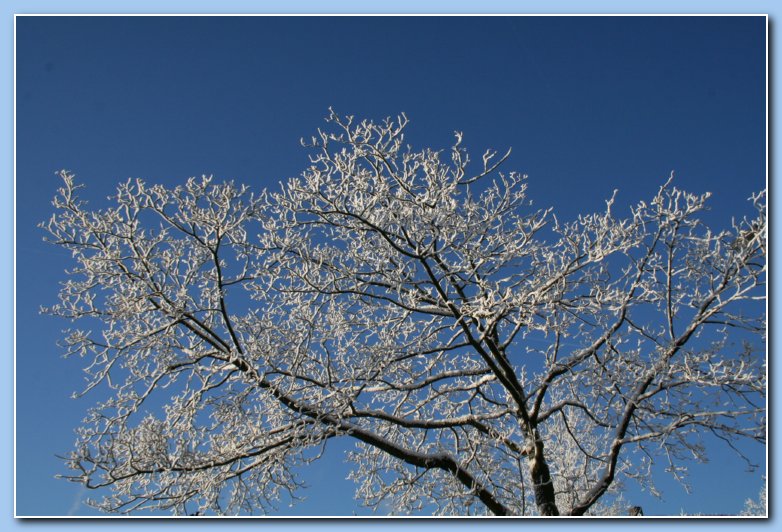 Arnhem Snow 157
